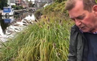 Lichtpuntjes-vlog deel 27
