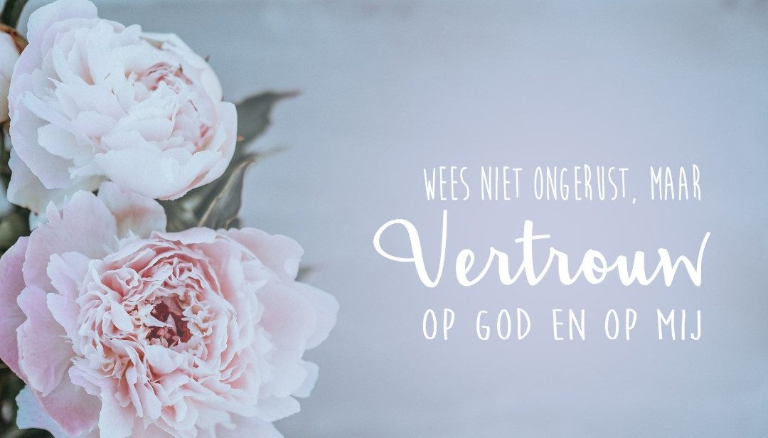 Zondag 3 mei 2026