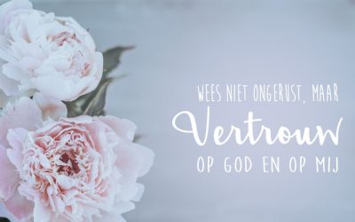 Zondag 3 mei 2026
