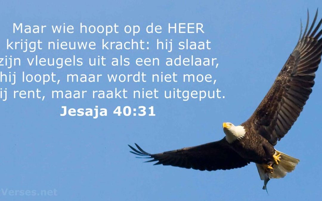 Zondag 26 april 2026